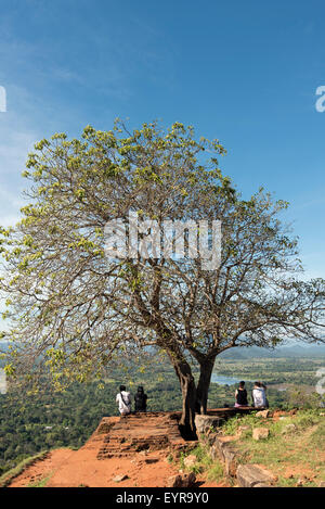 En haut de l'arbre du Rocher de Sigiriya, Sri Lanka Banque D'Images