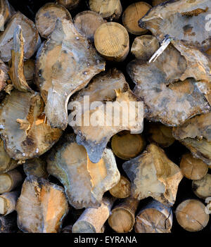 Milieux et de textures : pile de bois, l'industrie du bois ou la nature abstract background Banque D'Images