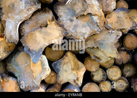 Milieux et de textures : pile de bois, l'industrie du bois ou la nature abstract background Banque D'Images