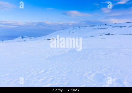 Paysage de neige au Parc National de Dovrefjell-Sunndalsfjella. La Norvège. Banque D'Images