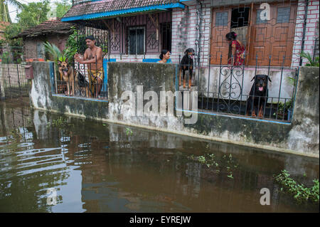 Kolkata, État indien du Bengale occidental. 3e août, 2015. Une famille indienne, regardez à l'extérieur de leur maison inondée à Calcutta, capitale de l'Est de l'état indien du Bengale occidental, du 3 août 2015. Credit : Tumpa Mondal/Xinhua/Alamy Live News Banque D'Images