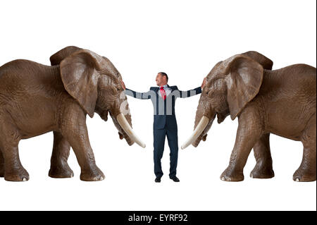 La résolution des conflits la médiation d'entreprise concept avec businessman séparant les éléphants en colère Banque D'Images