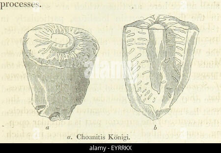 Image prise à partir de la page 137 de "La géologie de la Banque D'Images