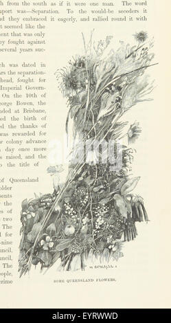 Le pittoresque de Cassell d'Australasie. Edité par E. E. M. Avec ... illustrations image prise à partir de la page 171 de "la pittoresque Cassell Australasie édité Banque D'Images