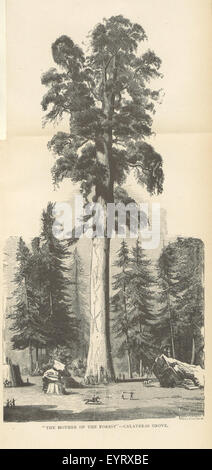 Image tirée de 'Beyond the Sierras', représentant des observations et des illustrations liées à la côte du Pacifique, mettant en évidence les caractéristiques géographiques, les établissements et les environnements naturels. Banque D'Images