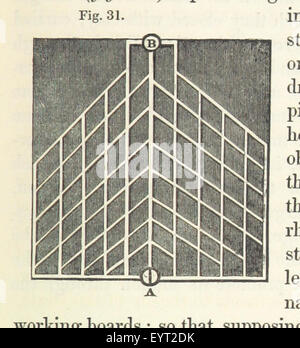 Image prise à partir de la page 251 de "l'Histoire et description Banque D'Images