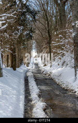 Étroites couvertes de neige chemin rural dans la région de Kentucky Bluegrass USA Banque D'Images