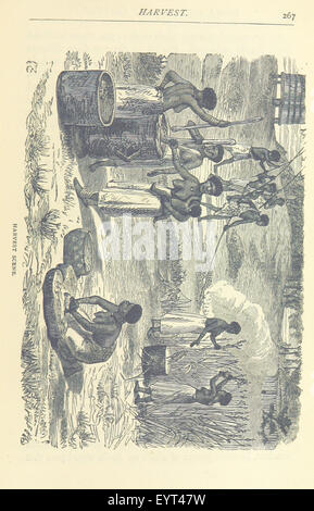 Image prise à partir de la page 287 du "Grand Voyageurs africains ... Par O. H. G. K. et H. Frith' image prise à partir de la page 287 du "Grand Voyageurs Africains Banque D'Images