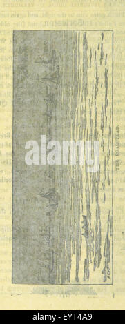 Image de la page 29 de 'Huke's Pictorial Guide to Great Yarmouth', montrant une illustration de la ville balnéaire de Great Yarmouth, Angleterre, avec des monuments remarquables. Banque D'Images