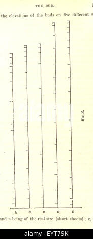 [Fonctionne. Édition populaire.] 2 série Image réalisée à partir de la page 36 '[2] édition des Œuvres populaires Banque D'Images