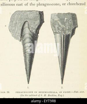 Image prise à partir de la page 448 de '[Excursions géologiques la ronde Banque D'Images