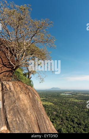 Paysage vu du haut de la forteresse du Rocher de Sigiriya, Sri Lanka Banque D'Images