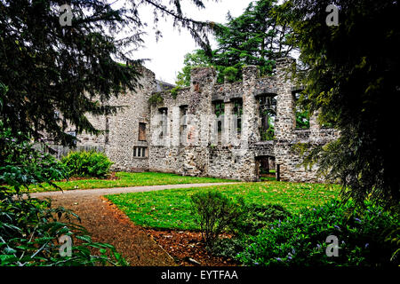 Abbey Park est un parc public contenant l'abbaye du xiie siècle dans la région de Leicester en Angleterre, à travers laquelle la rivière s'écoule. Banque D'Images