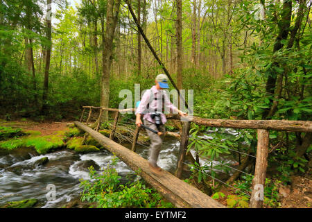 Forge Creek, Gregory Ridge Trail, Great Smoky Mountains National Park, California, USA Banque D'Images