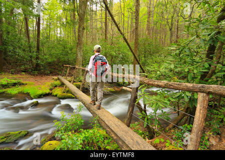 Forge Creek, Gregory Ridge Trail, Great Smoky Mountains National Park, California, USA Banque D'Images