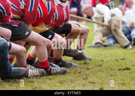 Dufftown, Écosse - 25 juillet 2015 : concours de souque à la Scottish Highland Games événement. Banque D'Images