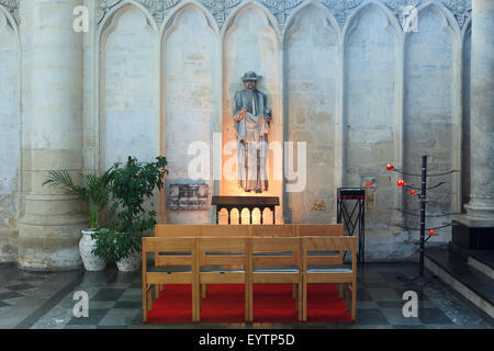 Petite chapelle au père Damien de Molokai à l'intérieur de la Cathédrale Saint Rumbold et tour à Malines, Belgique Banque D'Images