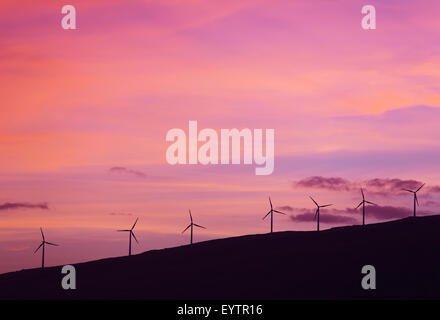 Les moulins à vent au coucher du soleil. L'avenir de l'énergie verte. La technologie propre. Banque D'Images