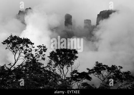 Kerepakupai Vena ou Angel Falls, Salto Angel dans les nuages en noir et blanc. Les plus hautes du monde. État de Bolivar Banque D'Images