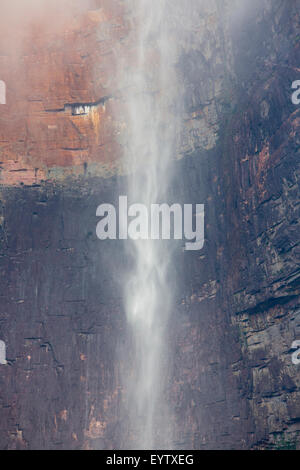 Kerepakupai Vena ou Angel Falls, Salto Angel est le plus haut des cascades. État de Bolivar. Le Venezuela, Banque D'Images