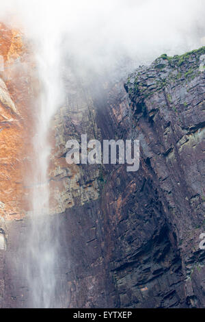 Kerepakupai Vena ou Angel Falls, Salto Angel est le plus haut des cascades. État de Bolivar. Le Venezuela, Banque D'Images