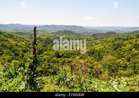 Vue panoramique de la forêt tropicale dense dans les Dembos Hills de l'Angola Banque D'Images