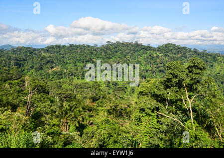 Vue panoramique sur le green hills Dembos dans le nord de l'Angola Banque D'Images