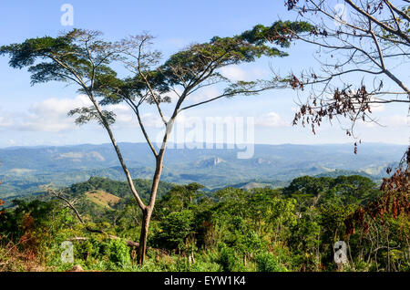 Vue panoramique sur le green hills Dembos dans le nord de l'Angola Banque D'Images