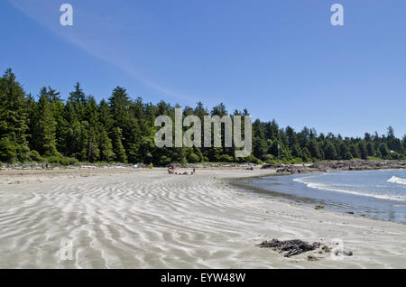 Belles plages de sable de Chesterman Beach, partie de Long Beach, près de Tofino, BC, Canada. Sur l'île de Vancouver. Banque D'Images