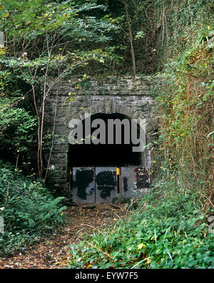 Tunnel de Tintern, Gloucestershire, sur le chemin de fer de la vallée de Wye désaffecté entre Chepstow et Monmouth. Banque D'Images