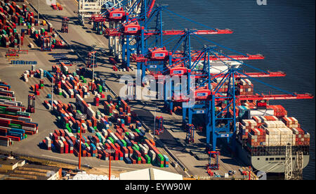 Chargement de conteneurs, conteneurs portiques, grues, porte-conteneurs, port à conteneurs, LTC, Container Terminal Altenwerder Banque D'Images