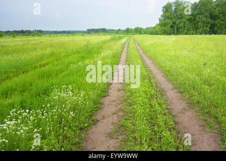 Route de campagne et green field Banque D'Images