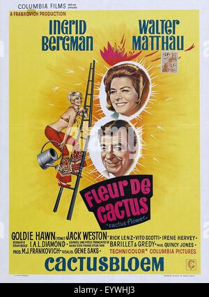 Fleur de cactus ; Année : 1969 ; USA Réalisateur : Gene Saks ; film poster (Bel) Banque D'Images