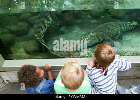 Zurich, Suisse - 22 août 2006 : l'observation d'enfants sur crocodile l'aquarium du zoo Zurich Banque D'Images