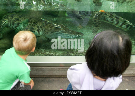 Zurich, Suisse - 22 août 2006 : l'observation d'enfants sur crocodile l'aquarium du zoo Zurich Banque D'Images