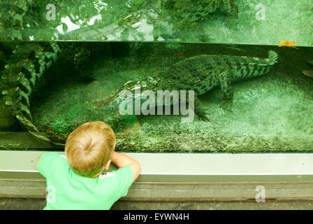 Zurich, Suisse - 22 août 2006 : observation de l'enfant sur le crocodile de l'aquarium Zoo Zurich Banque D'Images