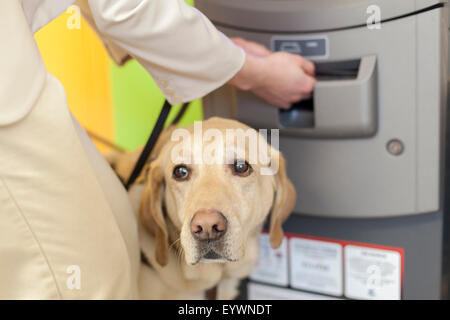 Jeune femme aveugle à l'aide d'un distributeur automatique de la banque avec son chien aidant l'attente Banque D'Images