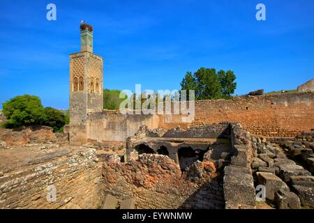 Les ruines de Chellah avec minaret, Rabat, Maroc, Afrique du Nord, Afrique Banque D'Images