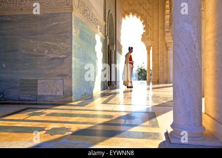 Garde royale de service au Mausolée de Mohammed V, Rabat, Maroc, Afrique du Nord, Afrique Banque D'Images