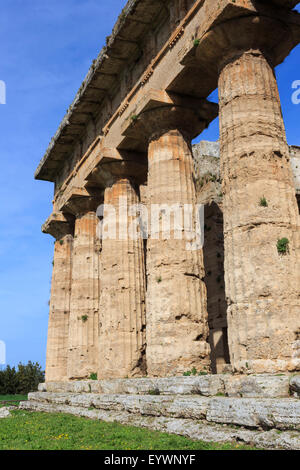 Temple de Neptune, 450 BC, plus grand et le mieux préservé des temples grecs à Paestum, UNESCO World Heritage Site, Campanie, Italie Banque D'Images