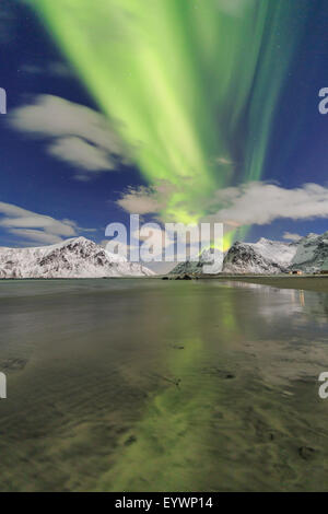 Northern Lights (aurores boréales) sur Skagsanden sky, îles Lofoten, Norvège, de l'Arctique, Scandinavie, Europe Banque D'Images