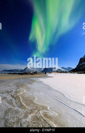 Northern Lights (aurores boréales) sur Gymsoyan ciel, Gimsoy, îles Lofoten, Norvège, de l'Arctique, Scandinavie, Europe Banque D'Images