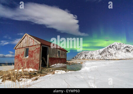 Northern Lights (aurores boréales) sur une cabane abandonnée entouré par la neige, Flakstad, îles Lofoten, Norvège, de l'Arctique Banque D'Images