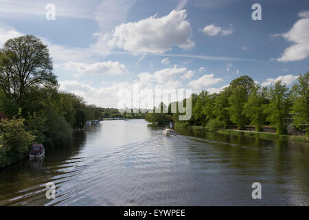 Tamise à Beaconsfield, Berkshire, Angleterre, Royaume-Uni, Europe Banque D'Images