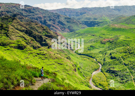 Waimea Canyon State Park, Kauai, Hawaii, États-Unis d'Amérique, du Pacifique Banque D'Images