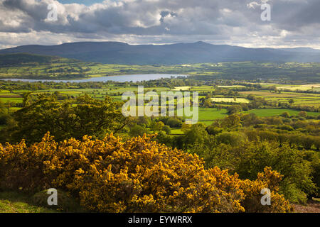 Vue sur le lac de Llangorse à Pen Y Fan de Mynydd Llangorse, Troed, parc national de Brecon Beacons, Powys, Wales, Royaume-Uni Banque D'Images