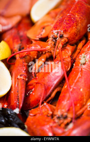 Détail de plateau de fruits de mer - homard cuit. Banque D'Images