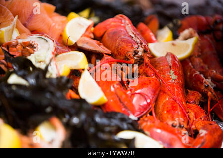 Détail de plateau de fruits de mer - homard cuit avec des quartiers de citron et d'algues. Banque D'Images