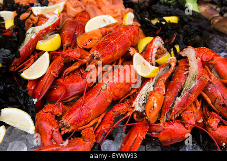 Détail de plateau de fruits de mer - homard cuit avec des quartiers de citron et d'algues. Banque D'Images