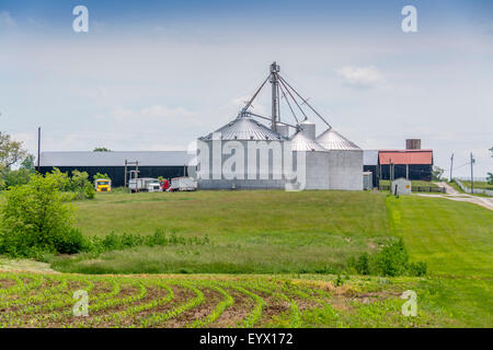 De grands silos sur une ferme dans le Kentucky USA Banque D'Images